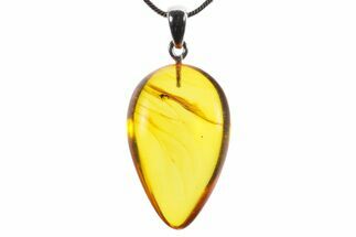 Polished Baltic Amber Pendant (Necklace) - Contains Fly! #352985