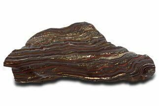 Huge Tiger Iron Stromatolite Section - Billion Years #353585