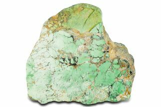 Polished Variscite Section - Australia #353714