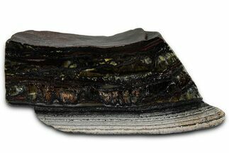 Polished Tiger Iron Stromatolite Section - Billion Years #353258