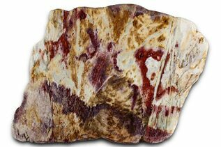 Buy Opal (Common)