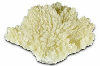 Pale Yellow Barite Crystal Cluster - Russia #354319
