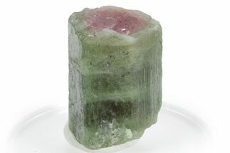 Bicolor Elbaite Watermelon Tourmaline - Afghanistan #354931
