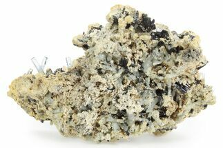 Gemmy Aquamarine and Schorl Crystals on Feldspar - Namibia #354937