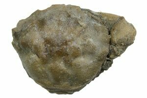 5.1