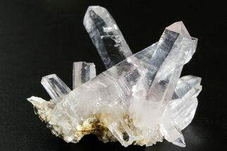 Attractive Amethyst Crystal Cluster - Las Vigas, Mexico #354997