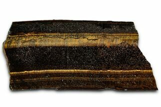 Polished Tiger's Eye Slab - South Africa #355295