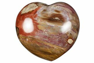 Polished Triassic Petrified Wood Heart - Madagascar #355564