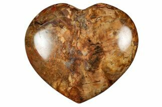Polished Triassic Petrified Wood Heart - Madagascar #355592