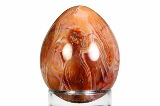 Vibrant Polished Carnelian Agate Egg - Madagascar #355471