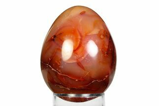 Vibrant Polished Carnelian Agate Egg - Madagascar #355474