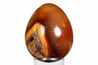 Vibrant Polished Carnelian Agate Egg - Madagascar #355476
