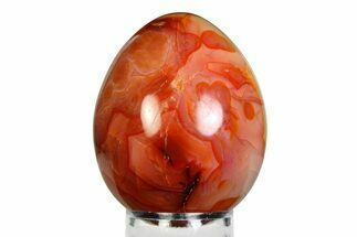 Vibrant Polished Carnelian Agate Egg - Madagascar #355479
