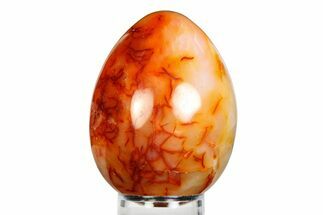 Vibrant Polished Carnelian Agate Egg - Madagascar #355499