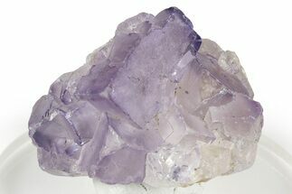 Purple Fluorite Crystal Cluster - Chiapas, Mexico #355926