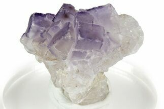 Purple Fluorite Crystal Cluster - Chiapas, Mexico #355956