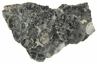 Polished Lunar Meteorite ( g) Slice - Adrar #355993