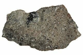 Polished Lunar Meteorite ( g) Slice - Ash Shaqqah #356000