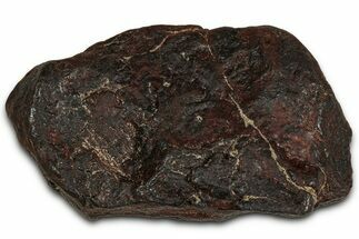 Canyon Diablo Iron Meteorite ( g) - Arizona #356005