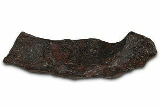 Canyon Diablo Iron Meteorite ( g) - Arizona #356008