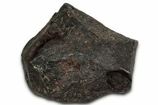 Canyon Diablo Iron Meteorite ( g) - Arizona #356022