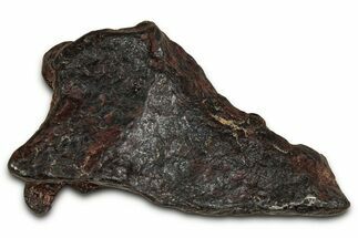 Canyon Diablo Iron Meteorite ( g) - Arizona #356036