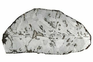 Etched Canyon Diablo Meteorite Slice ( g) - Arizona #356054