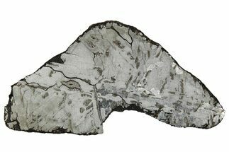 Etched Canyon Diablo Meteorite Slice ( g) - Arizona #356059