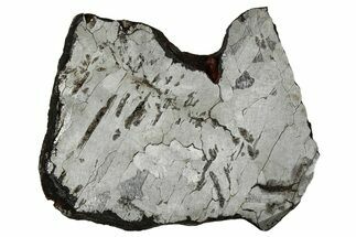 Etched Canyon Diablo Meteorite Slice ( g) - Arizona #356077