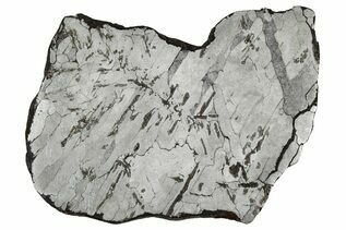 Iron Meteorites For Sale