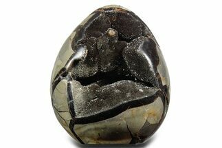 Polished Dragon Egg Septarian Geode - Free-Standing #356158