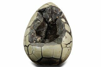 Polished Dragon Egg Septarian Geode - Free-Standing #356166