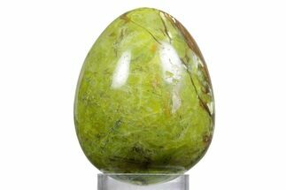 Polished Green Opal Egg - Madagascar #356159