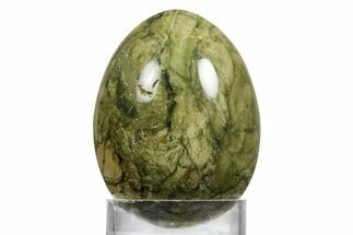Polished Lizard Stone (Jasper) Egg - Arizona #356263