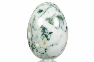 Polished Tree Agate Egg - India #356335