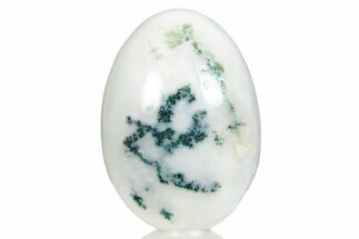 Polished Tree Agate Egg - India #356347