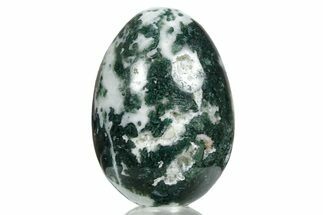 Polished Tree Agate Egg - India #356350