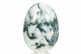 Polished Tree Agate Egg - India #356351