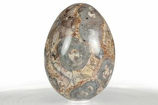 Polished Bird's Eye Jasper (Rhyolite) Egg - Mexico #356339