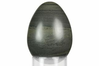 Polished Black Siltstone Egg - Philippines #356397
