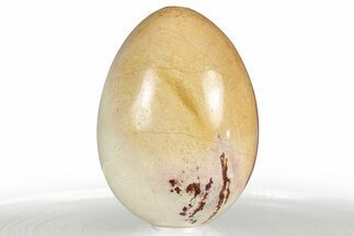 Polished Binthalya Opal Egg - Western Australia #356459