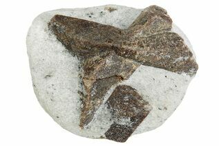 Buy Staurolite