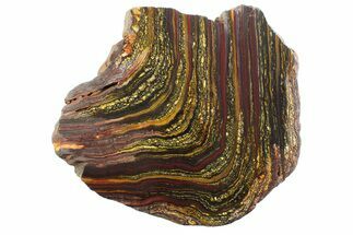 Polished Tiger Iron Stromatolite Slab - Billion Years #354950