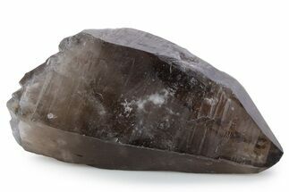 Natural, Dark Smoky Quartz Crystal - Colorado #356711