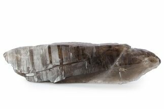 Natural, Dark Smoky Quartz Crystal - Colorado #356718
