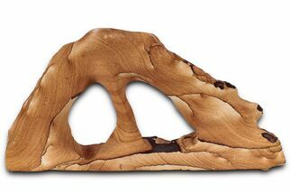 Wide Picture Sandstone Arch - Arizona #357189