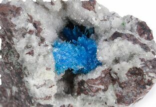 Vibrant Blue Cavansite Crystals on Sparkling Stilbite - India #357237