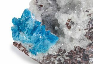 Vibrant Blue Cavansite Crystals on Sparkling Stilbite - India #357240