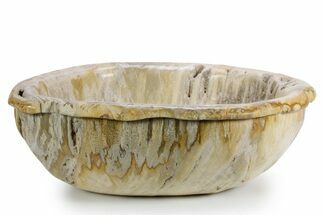 Petrified Wood (Tropical Hardwood) Bowl - Indonesia #357355
