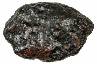 Carbonaceous Chondrite Meteorite ( g) - NWA #334428